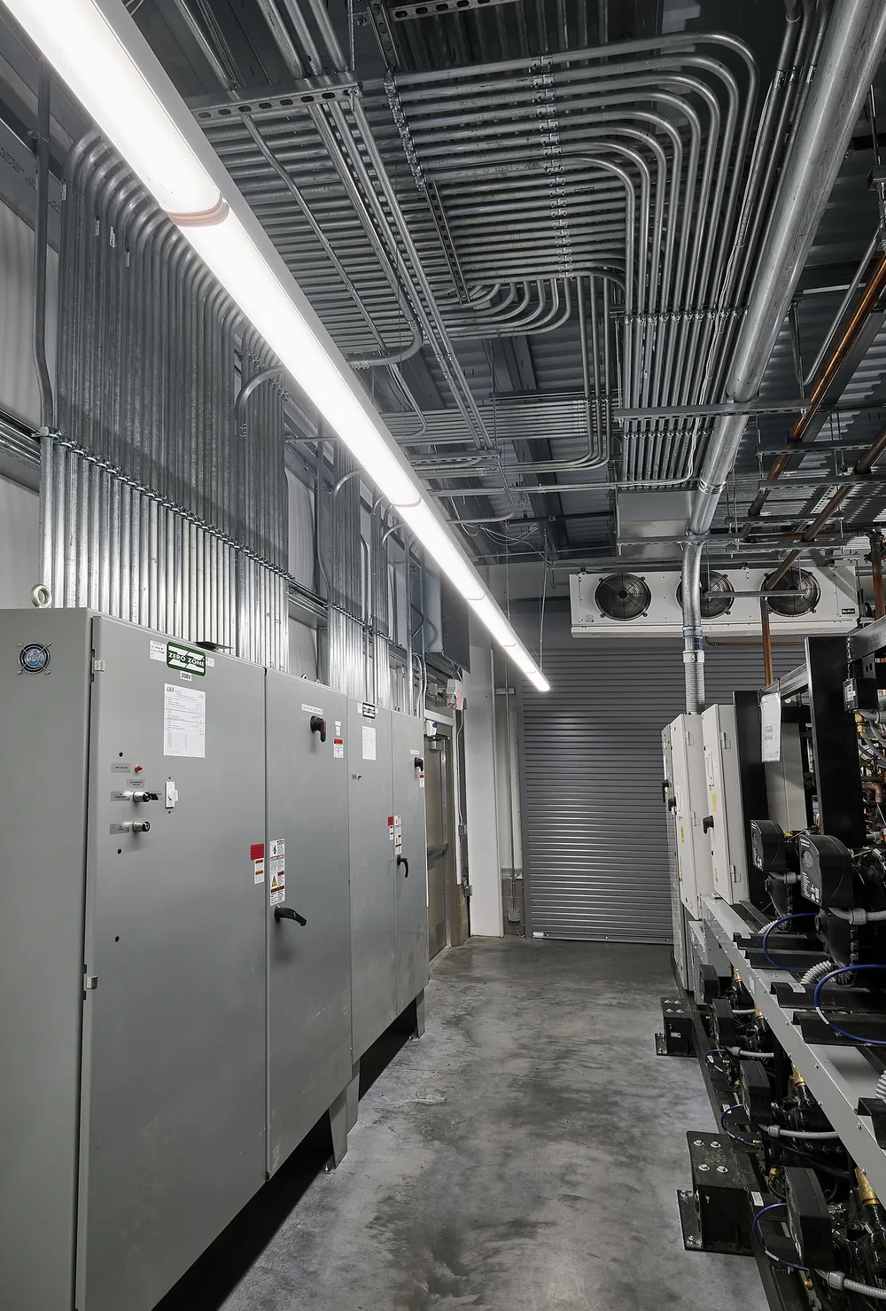 Electrical cabinets and neatly routed overhead conduit serving refrigeration equipment.